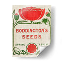 Paquetes De Semillas De Flores Iii - Vision Studio | Cuadro decorativo de Canvas Lab