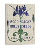 Paquetes De Semillas De Flores Iv - Vision Studio | Cuadro decorativo de Canvas Lab