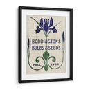 Paquetes De Semillas De Flores Iv - Vision Studio | Cuadro decorativo de Canvas Lab