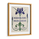 Paquetes De Semillas De Flores Iv - Vision Studio | Cuadro decorativo de Canvas Lab