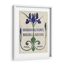 Paquetes De Semillas De Flores Iv - Vision Studio | Cuadro decorativo de Canvas Lab