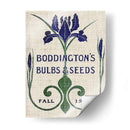 Paquetes De Semillas De Flores Iv - Vision Studio | Cuadro decorativo de Canvas Lab