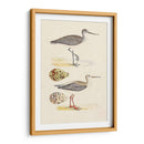 Sandpipers Y Huevos I - Morris | Cuadro decorativo de Canvas Lab