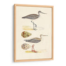 Sandpipers Y Huevos I - Morris | Cuadro decorativo de Canvas Lab