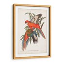 Loros Tropicales I - John Gould | Cuadro decorativo de Canvas Lab