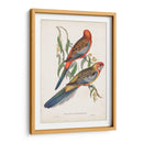 Loros Tropicales Ii - John Gould | Cuadro decorativo de Canvas Lab