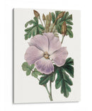 Bellezas De Lavanda I - Edwards | Cuadro decorativo de Canvas Lab