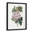 Bellezas De Lavanda I - Edwards | Cuadro decorativo de Canvas Lab