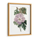 Bellezas De Lavanda I - Edwards | Cuadro decorativo de Canvas Lab