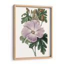 Bellezas De Lavanda I - Edwards | Cuadro decorativo de Canvas Lab