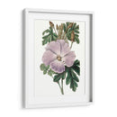 Bellezas De Lavanda I - Edwards | Cuadro decorativo de Canvas Lab