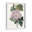 Bellezas De Lavanda I - Edwards | Cuadro decorativo de Canvas Lab