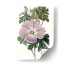 Bellezas De Lavanda I - Edwards | Cuadro decorativo de Canvas Lab