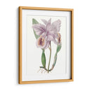 Bellezas De Lavanda Ii - Edwards | Cuadro decorativo de Canvas Lab