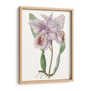 Bellezas De Lavanda Ii - Edwards | Cuadro decorativo de Canvas Lab