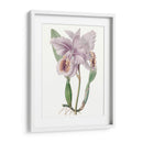 Bellezas De Lavanda Ii - Edwards | Cuadro decorativo de Canvas Lab