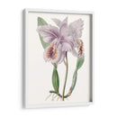 Bellezas De Lavanda Ii - Edwards | Cuadro decorativo de Canvas Lab