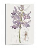 Bellezas De Lavanda Iii - Edwards | Cuadro decorativo de Canvas Lab