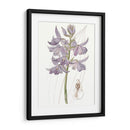 Bellezas De Lavanda Iii - Edwards | Cuadro decorativo de Canvas Lab