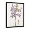 Bellezas De Lavanda Iii - Edwards | Cuadro decorativo de Canvas Lab