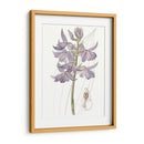 Bellezas De Lavanda Iii - Edwards | Cuadro decorativo de Canvas Lab