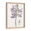 Bellezas De Lavanda Iii - Edwards | Cuadro decorativo de Canvas Lab