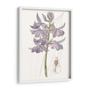 Bellezas De Lavanda Iii - Edwards | Cuadro decorativo de Canvas Lab