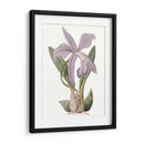 Bellezas De Lavanda Iv - Edwards | Cuadro decorativo de Canvas Lab