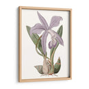 Bellezas De Lavanda Iv - Edwards | Cuadro decorativo de Canvas Lab