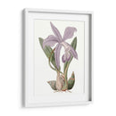 Bellezas De Lavanda Iv - Edwards | Cuadro decorativo de Canvas Lab