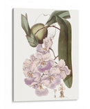 Bellezas De Lavanda V - Edwards | Cuadro decorativo de Canvas Lab