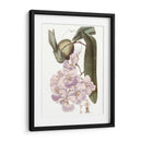 Bellezas De Lavanda V - Edwards | Cuadro decorativo de Canvas Lab