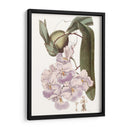 Bellezas De Lavanda V - Edwards | Cuadro decorativo de Canvas Lab