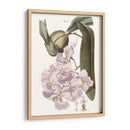 Bellezas De Lavanda V - Edwards | Cuadro decorativo de Canvas Lab