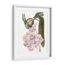 Bellezas De Lavanda V - Edwards | Cuadro decorativo de Canvas Lab