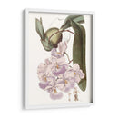 Bellezas De Lavanda V - Edwards | Cuadro decorativo de Canvas Lab