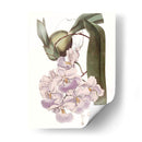 Bellezas De Lavanda V - Edwards | Cuadro decorativo de Canvas Lab