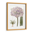 Bellezas De Lavanda Vi - Edwards | Cuadro decorativo de Canvas Lab