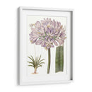 Bellezas De Lavanda Vi - Edwards | Cuadro decorativo de Canvas Lab