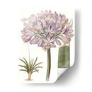 Bellezas De Lavanda Vi - Edwards | Cuadro decorativo de Canvas Lab