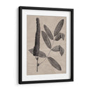 Hojas Elocuentes I - Vision Studio | Cuadro decorativo de Canvas Lab