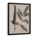 Hojas Elocuentes I - Vision Studio | Cuadro decorativo de Canvas Lab