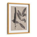 Hojas Elocuentes I - Vision Studio | Cuadro decorativo de Canvas Lab