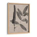 Hojas Elocuentes I - Vision Studio | Cuadro decorativo de Canvas Lab