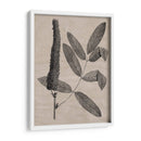 Hojas Elocuentes I - Vision Studio | Cuadro decorativo de Canvas Lab