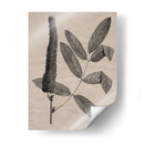 Hojas Elocuentes I - Vision Studio | Cuadro decorativo de Canvas Lab