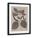 Hojas Elocuentes Ii - Vision Studio | Cuadro decorativo de Canvas Lab