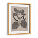 Hojas Elocuentes Ii - Vision Studio | Cuadro decorativo de Canvas Lab
