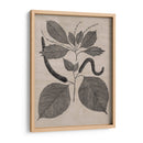 Hojas Elocuentes Ii - Vision Studio | Cuadro decorativo de Canvas Lab