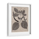 Hojas Elocuentes Ii - Vision Studio | Cuadro decorativo de Canvas Lab